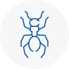 Ant Removals In Formby