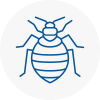 Bed Bug Extermination In Formby