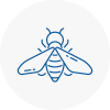 Bee Nest Removal Formby