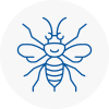Formby Hornet Nest Removals