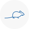 Mice Exterminators In Formby