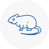 Rat Control Formby