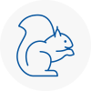 Formby Rodent Removals