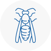 Formby Wasp Nest Removal